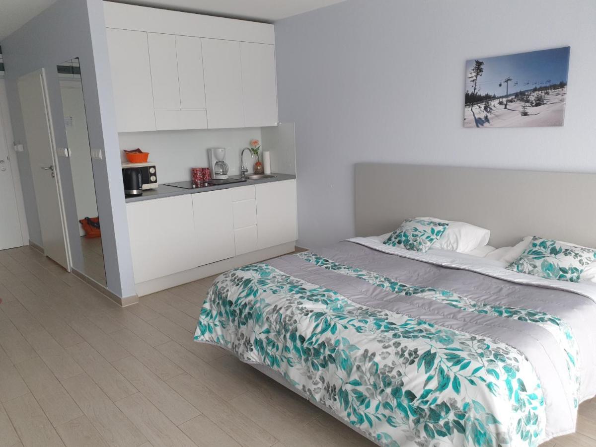 Apartment Czarna Gora Faktura Vat Sienna (Klodzko)